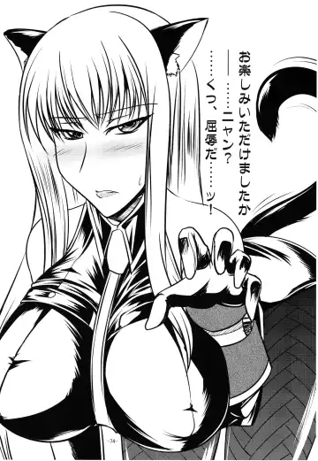 [Imiju - Kanten] VALKYRIE'S DESIRE Fhentai - Page 75