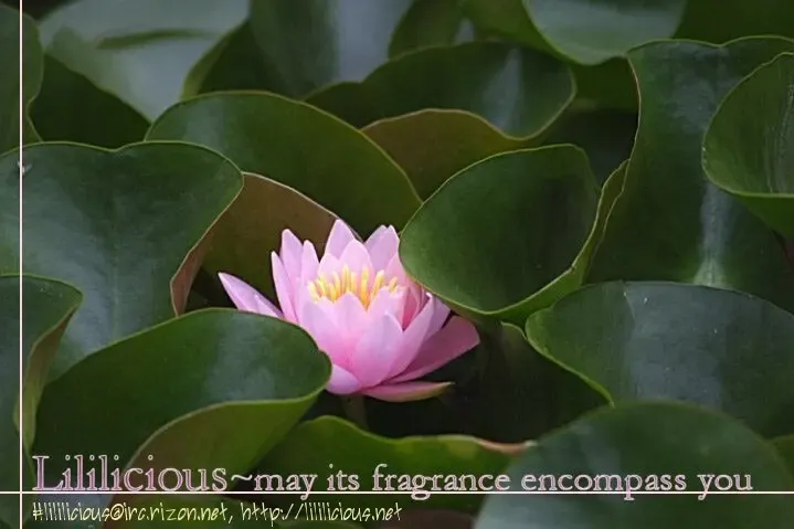 [Asagi Ryu] I Fell in Love for the First Time Ch.1-4 Fhentai - Page 120