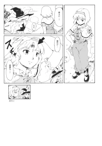 [Fujiwara Shunichi] Touhou Ukiyo Emaki "Remember☆Alice" ～Memento Alice～ Fhentai - Page 25