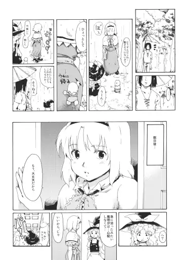 [Fujiwara Shunichi] Touhou Ukiyo Emaki "Remember☆Alice" ～Memento Alice～ Fhentai - Page 8