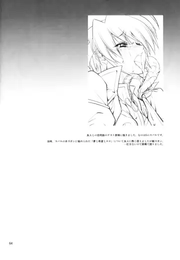 [Miharu] FD Fhentai - Page 63