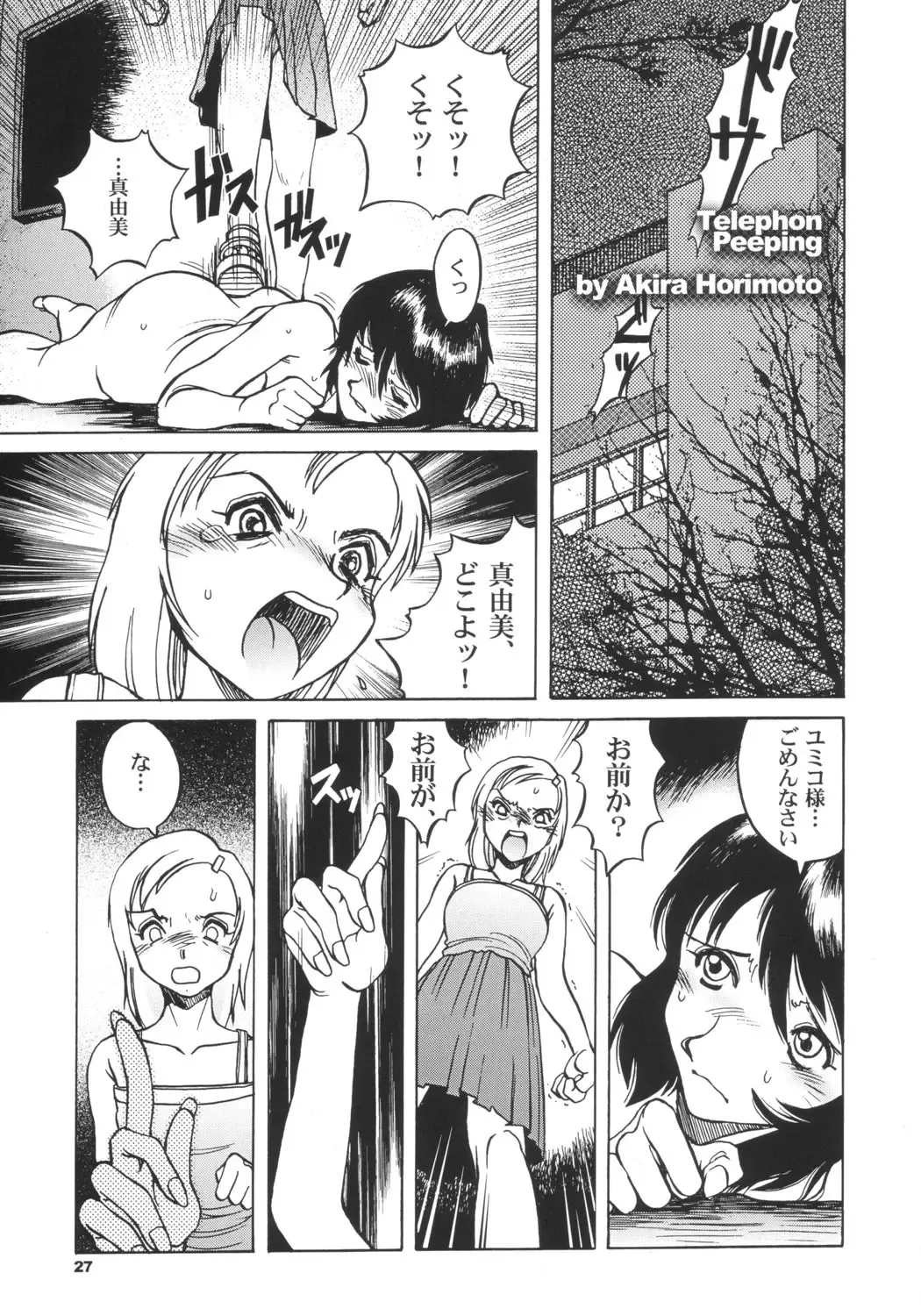 [Horimoto Akira - Sou Akiko] DLL Server 2003 Fhentai - Page 26