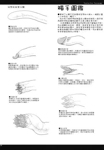 [Z-ton] LIMB LEGION Fhentai - Page 19