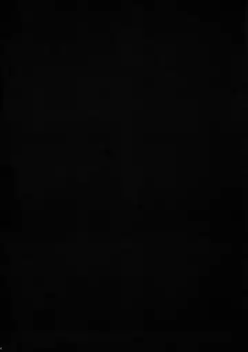 [Fei] Kiss of the Dead Fhentai - Page 4