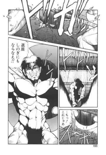 [Fujisaki Makoto] Dark Wirbel Vol 2 Fhentai - Page 193