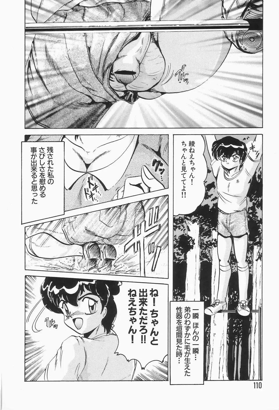 [Shimokata Kouzou] Nacht Ritter Fhentai - Page 114