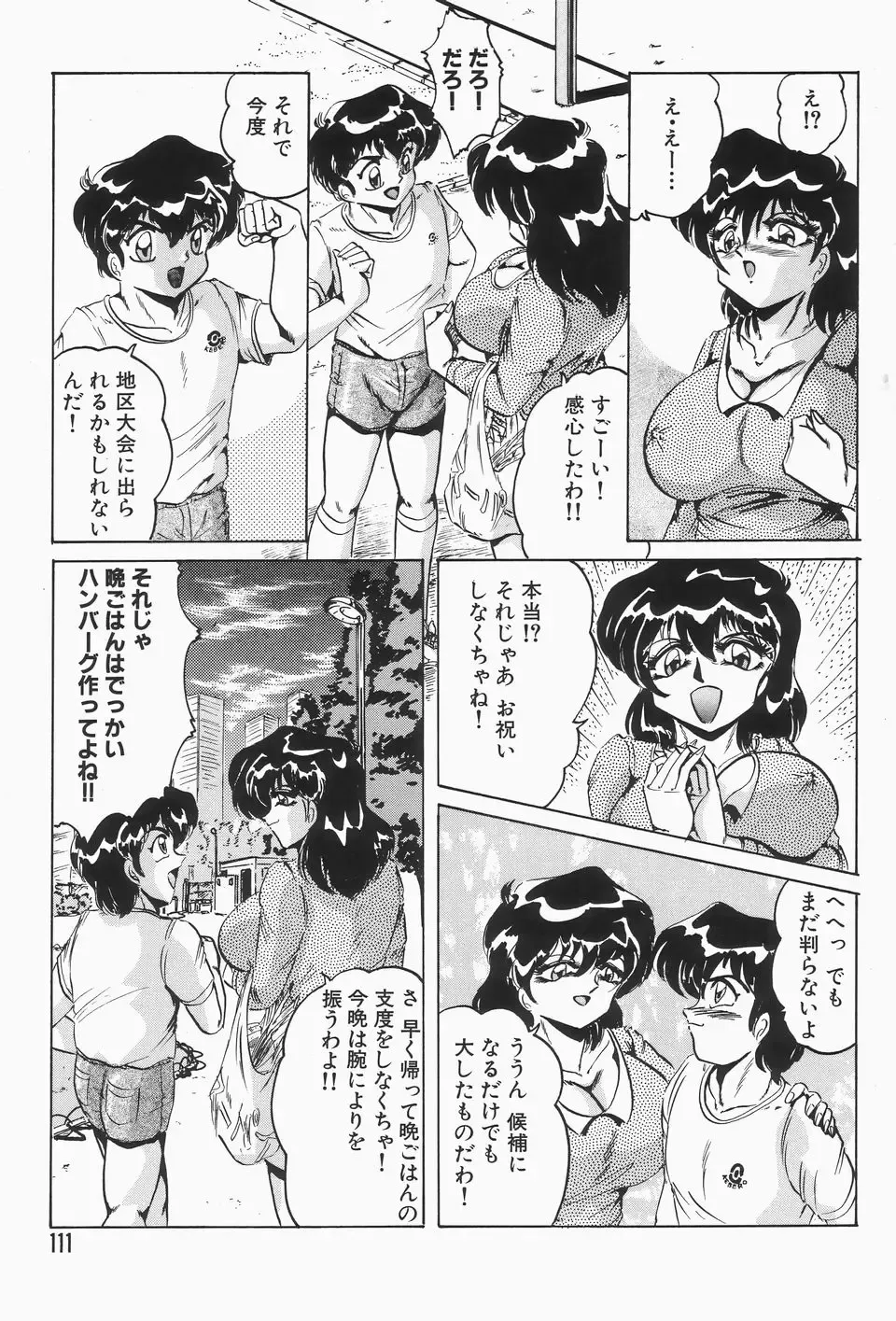 [Shimokata Kouzou] Nacht Ritter Fhentai - Page 115