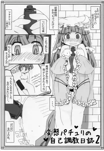 Read [Ryokutya] Hentai Patchouli no Jiko Choukyou Nisshi 2 - Fhentai