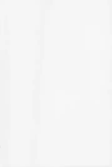 [Umetani Kenji] Tama² Fortune Fhentai - Page 4