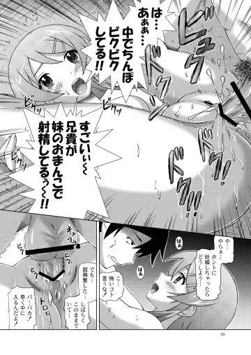[Fujishiro Seiki] Ore ga Imouto to Konna ni Yacchau Wake ga nai Fhentai - Page 18