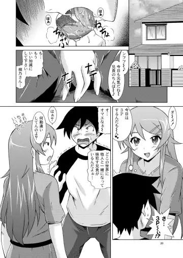 [Fujishiro Seiki] Ore ga Imouto to Konna ni Yacchau Wake ga nai Fhentai - Page 19