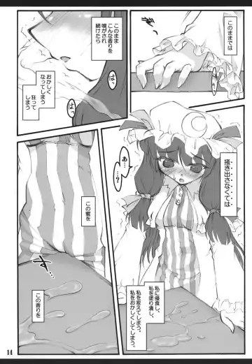 [Yaburebouki Akuta] Patchouli ~Touhou Shoujo Saiin~ Fhentai - Page 13