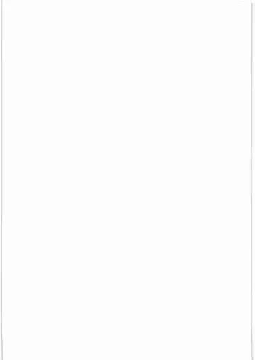 [Fred Kelly] M.F.H.H. 'BB'2 Fhentai - Page 22