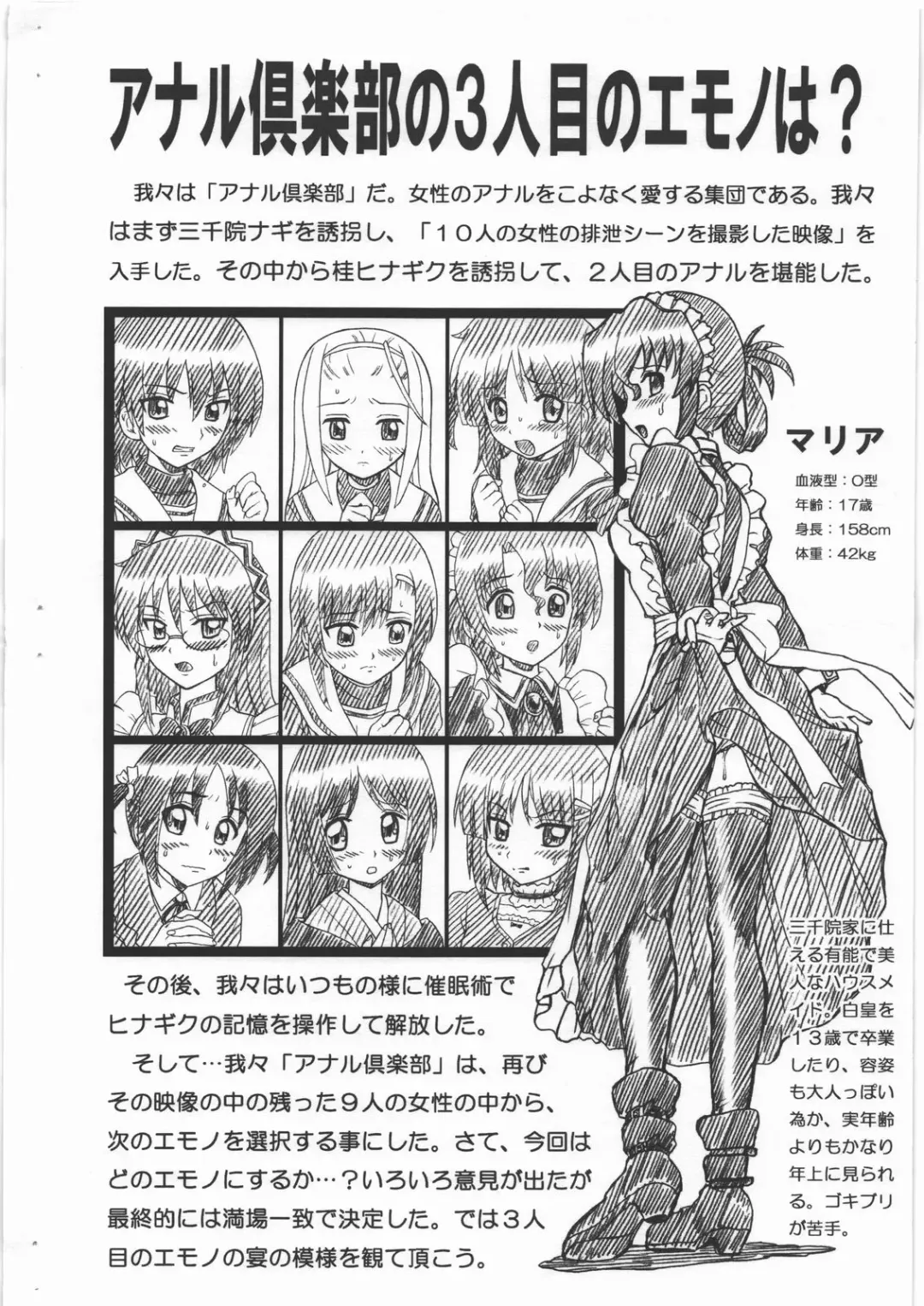 [Irie Yamazaki] HAYATE FILE Maria Gazoushuu Fhentai - Page 2