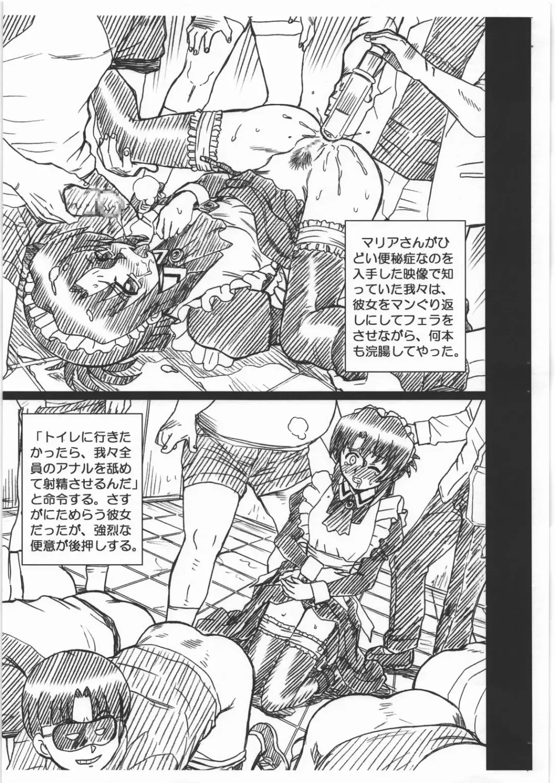 [Irie Yamazaki] HAYATE FILE Maria Gazoushuu Fhentai - Page 5