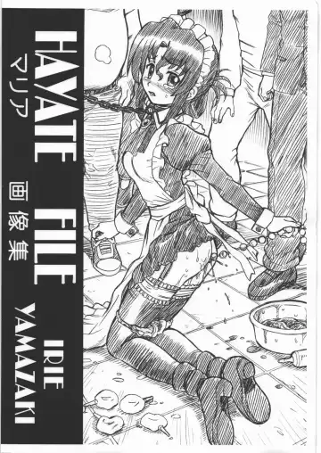 Read [Irie Yamazaki] HAYATE FILE Maria Gazoushuu - Fhentai