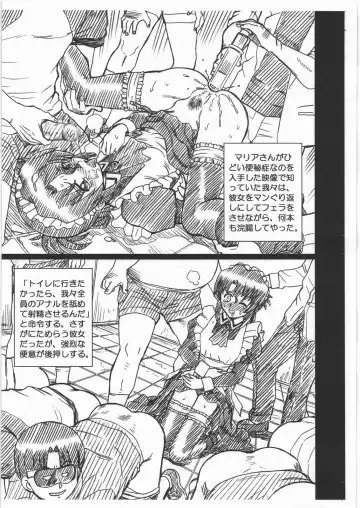 [Irie Yamazaki] HAYATE FILE Maria Gazoushuu Fhentai - Page 5