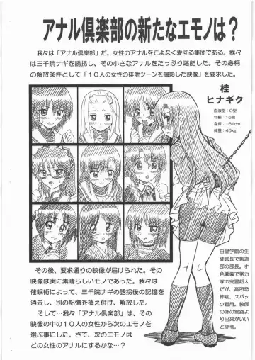 [Irie Yamazaki] HAYATE FILE Katsura Hinagiku Gazoushuu Fhentai - Page 2