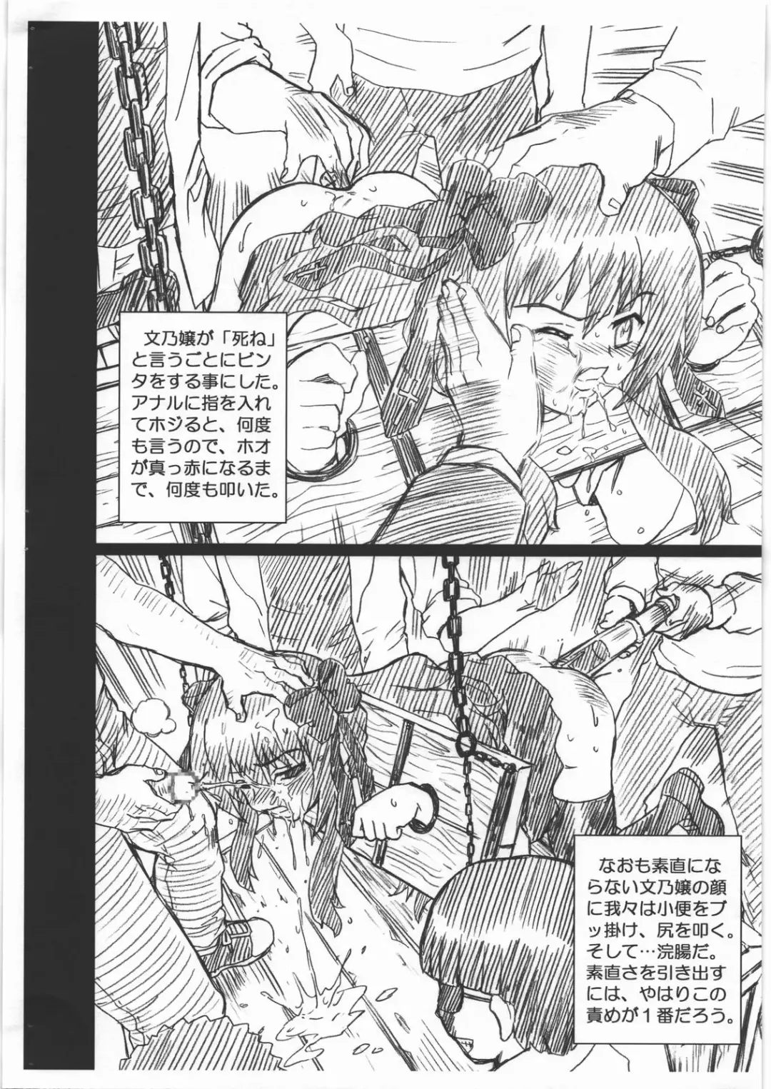 [Irie Yamazaki] MAYOINEKO FILE Serizawa Fumino Gazoushuu Fhentai - Page 4