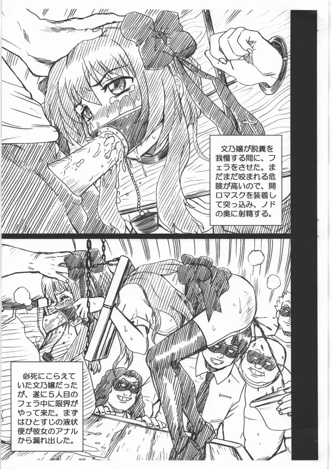 [Irie Yamazaki] MAYOINEKO FILE Serizawa Fumino Gazoushuu Fhentai - Page 5