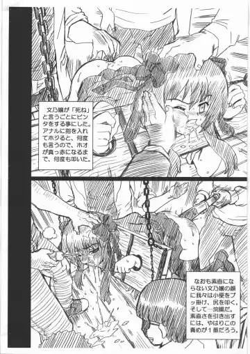 [Irie Yamazaki] MAYOINEKO FILE Serizawa Fumino Gazoushuu Fhentai - Page 4