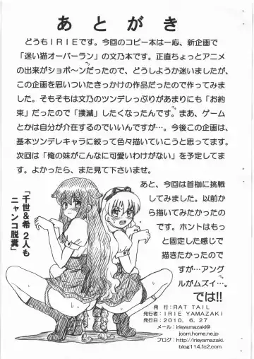 [Irie Yamazaki] MAYOINEKO FILE Serizawa Fumino Gazoushuu Fhentai - Page 9