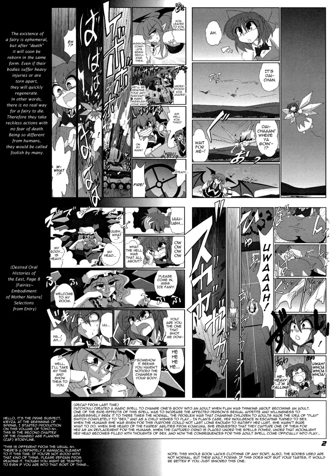 [Kieyza] TOHO N+ Cir_Fla Fhentai - Page 3