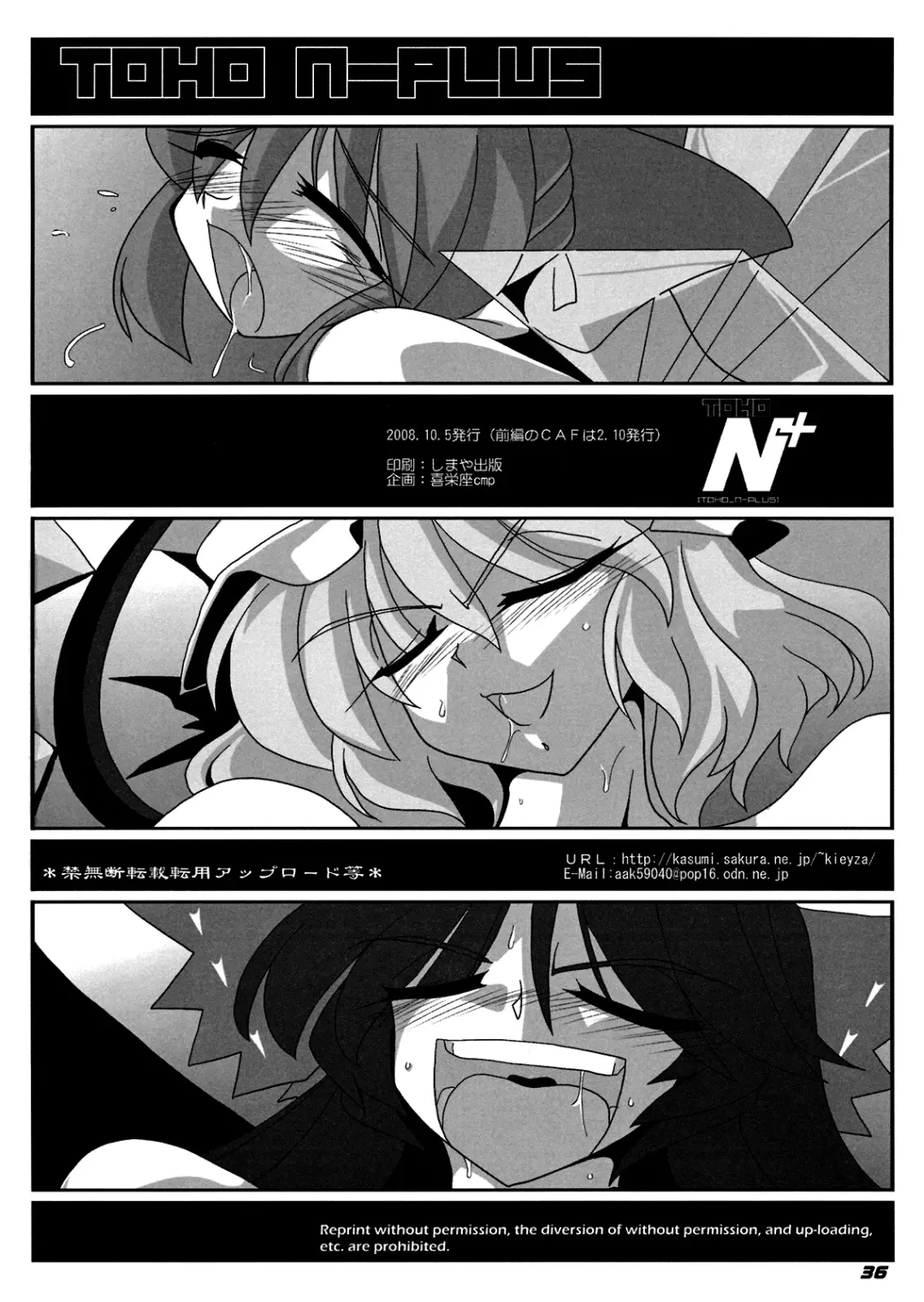 [Kieyza] TOHO N+ Cir_Fla Fhentai - Page 37