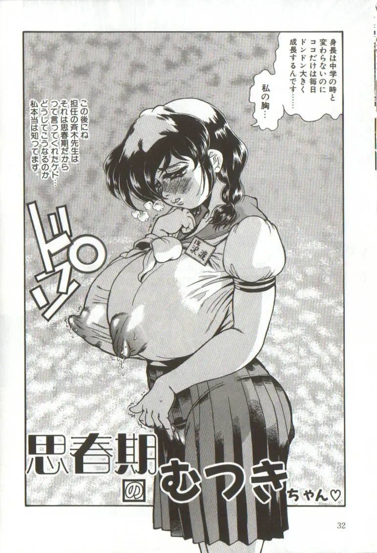 [Penname Wa Nai] Syoujyo Tyoukyouroku 3 Fhentai - Page 32