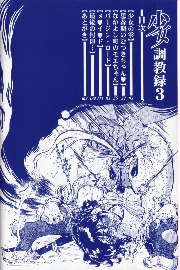 [Penname Wa Nai] Syoujyo Tyoukyouroku 3 Fhentai - Page 4