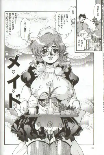 [Penname Wa Nai] Syoujyo Tyoukyouroku 3 Fhentai - Page 112