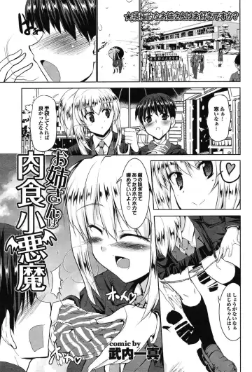 Read [Kaduchi] Oneesan wa Nikushoku Koakuma - Fhentai