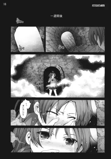 [Mokusei Zaijuu] Mahoushoujotachi no Zetsubou Fhentai - Page 15