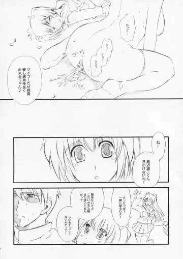 [Clover] Tama sen Fhentai - Page 19