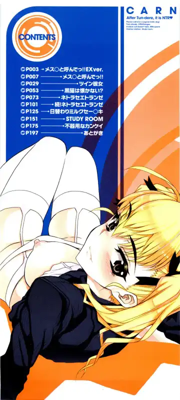 [Carn] Dere Nochi Torare Fhentai - Page 3