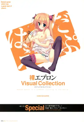 Hadaka Apron Visual Collection Fhentai - Page 3