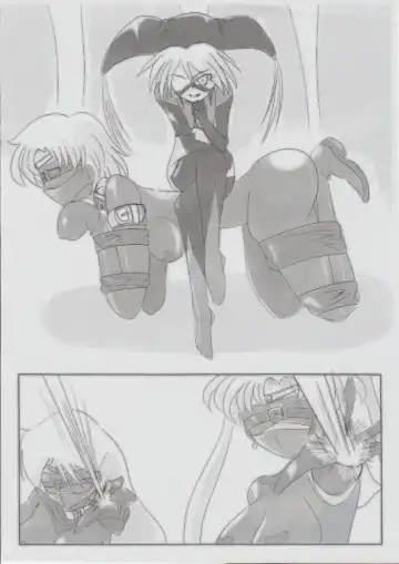 [Sch-mit] Mokusei wo Otosu Hon Fhentai - Page 5