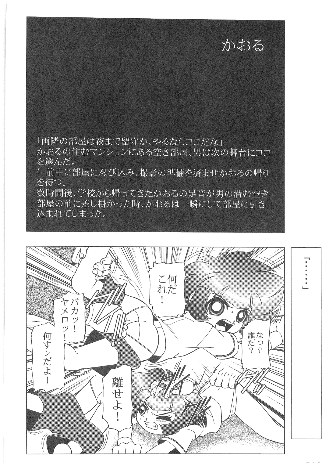 [Wing Bird] Charaemu W B006 De masi ta! Power Puff Girls Z 001 Fhentai - Page 11