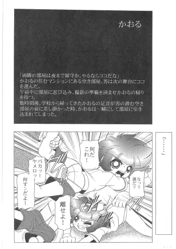 [Wing Bird] Charaemu W B006 De masi ta! Power Puff Girls Z 001 Fhentai - Page 11