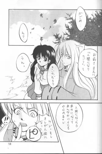 Sakura Moon Night Fhentai - Page 32