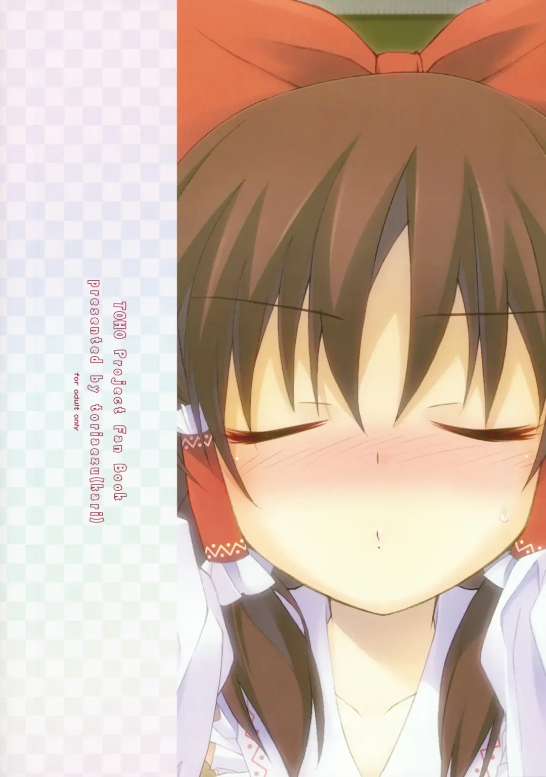 [Tororo] Mikochin Chuudoku Fhentai - Page 14