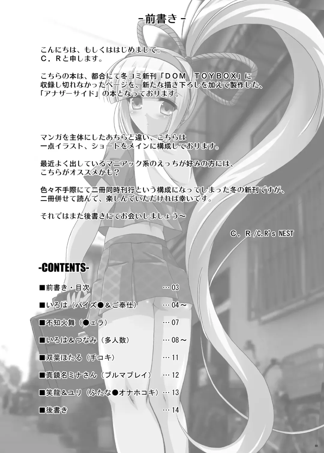 [C.r] DOM TOYBOX -Another side Fhentai - Page 3