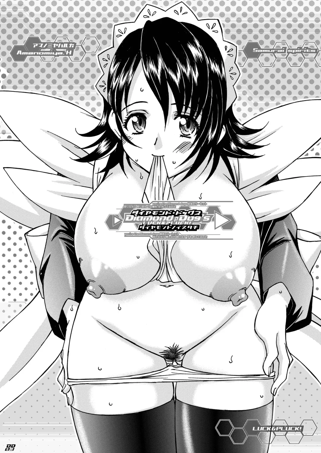 [Amanomiya Haruka] Diamond Dog's Fhentai - Page 3