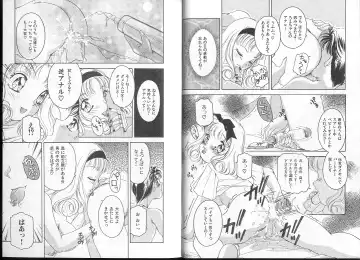 [The Amanoja9] Queer Queer Fhentai - Page 13