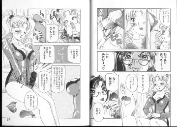 [The Amanoja9] Queer Queer Fhentai - Page 17