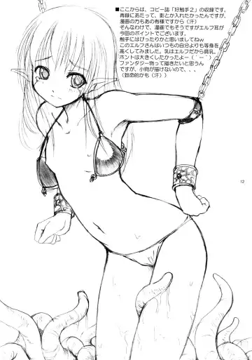 [Bosshi] Koushokushu 2 Fhentai - Page 13