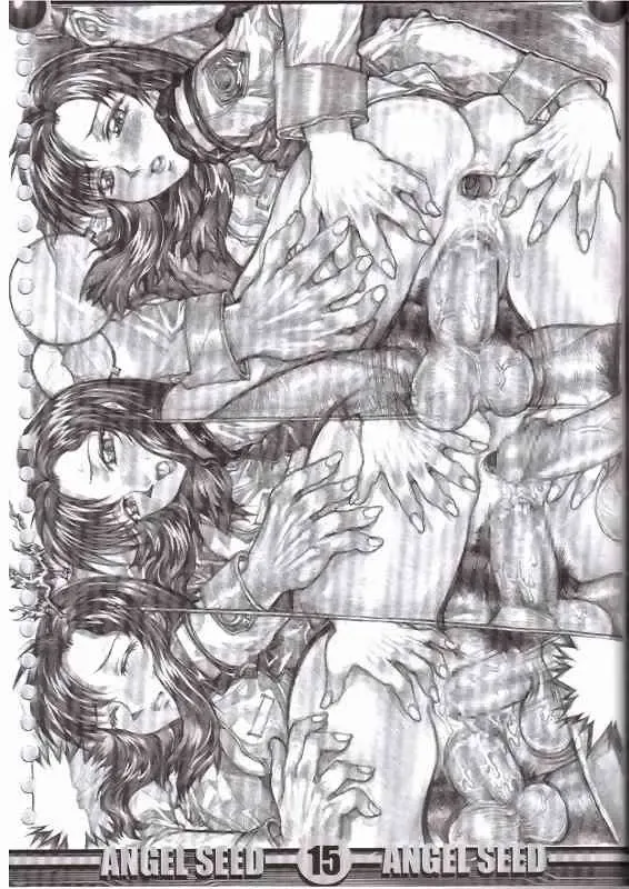 [Gojou Shino] Angel Seed Fhentai - Page 14