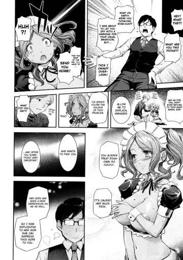 [Kima-gray] Kenshinteki HP | Devoted Maid Fhentai - Page 8