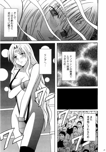 [Crimson] Sephiria Kiwami Fhentai - Page 19