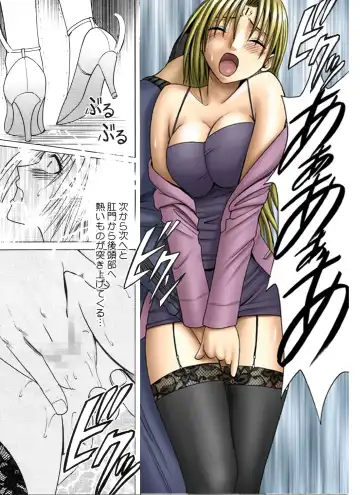 [Crimson] Pride no Takai Onna 2 Fhentai - Page 13